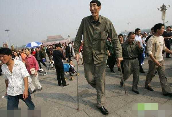 中国巨人史上最高的人3.19米 姚明只到其胸前