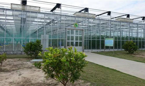 海南5年内将建百个现代农业示范基地-房产新闻