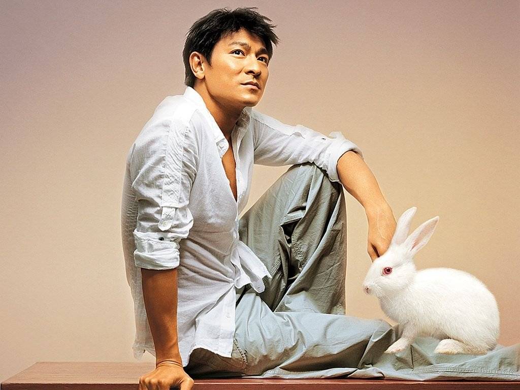 刘德华这种能够利用一切机会炒楼的功夫实在令人佩服.