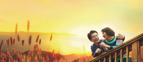 首次“中老年人生活方式问卷调查”启动-房产新闻-成都手机搜狐焦点网