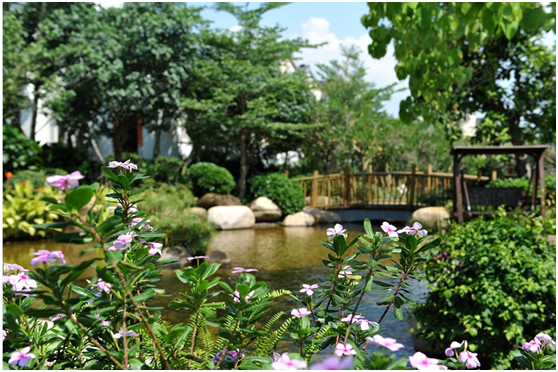 潜心研磨再获殊荣 远洋华墅获省优秀住宅小区