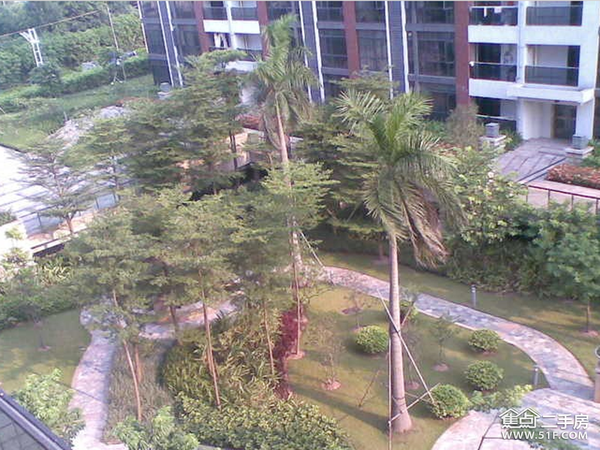 琶洲花园舒适小学,送南关小区,3+1+1商圈,带省户型涿州市天台图片