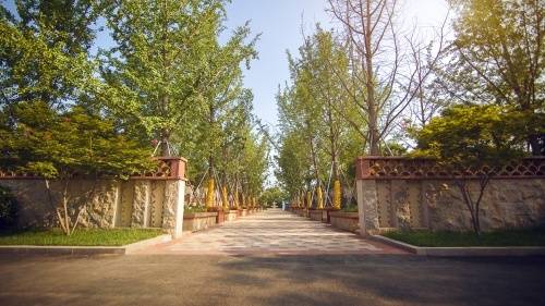 天琴湾园林展示区&样板间7月19日盛大开放-房