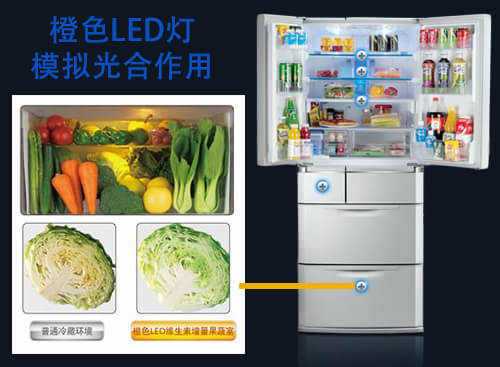 冰箱清洗后一直_冰箱清洗后好处_冰箱不清洗的危害