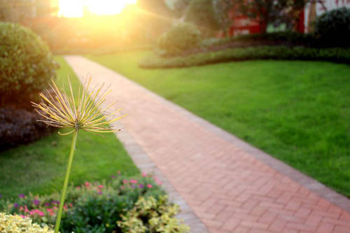 青秀·卓庭 墅质洋房区精装高层 清新来袭-房产